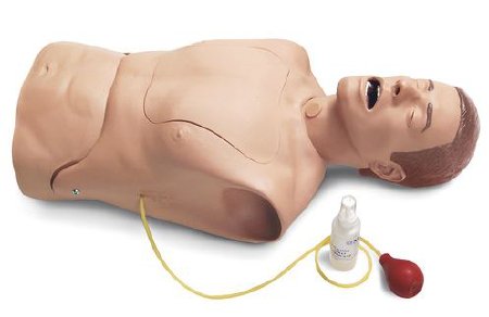 Nasco - NG Tube Trach Care Simulator - LG02083