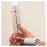 SDI Diagnostics Mouthpiece Riko Spirotube For Type A Peak Flow Meter Disposable Cardboard 100/Bx, 5 Bx/Ca - 29-7000