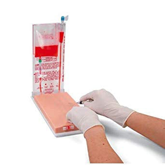 Nasco Nasco Vein Venipuncture Training Aid - SB25040
