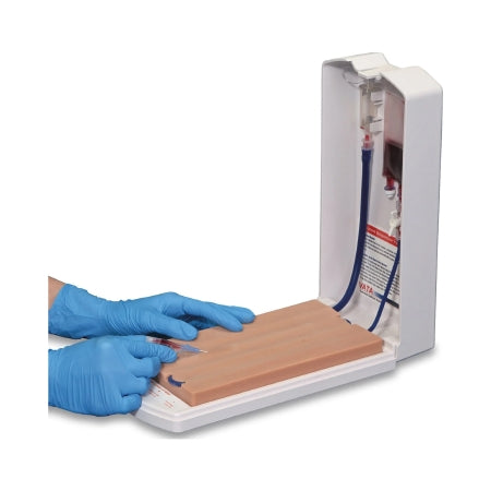 Nasco - Vein Venipuncture Training Aid - SB29869