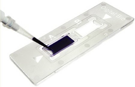 Fisher Scientific - Disposable C-Chip For Hemocytometer - NC0435502