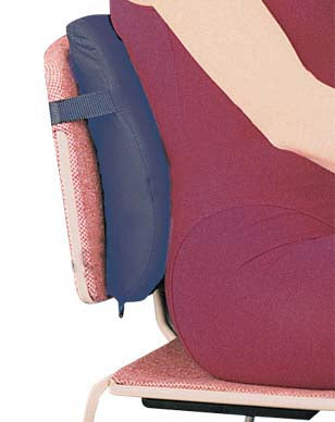Bird & Cronin Extensor Low Profile Lumbar Support Cushion 14 W X 15-1/2 H Inch - 8148881