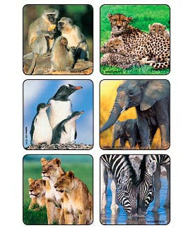 Medibadge 90 Per Unit Animal Family Photos , Assorted Sticker - 2744P