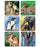 Medibadge 90 Per Unit Animal Family Photos , Assorted Sticker - 2744P