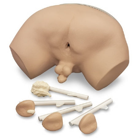 Nasco Life/Form Prostate Examination Simulator Male 19 lbs. - LF00901