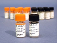 Helena Laboratories S.A.C.-2 Homeostasis Control Multiple Analytes Abnormal Level 10 X 1 mL - 5302