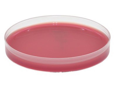AnaeroGRO - Pre-reduced Culture Media Brucella with Hemin and Vitamin K Plate Format - AG301