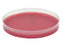 AnaeroGRO - Pre-reduced Culture Media Brucella with Hemin and Vitamin K Plate Format - AG301