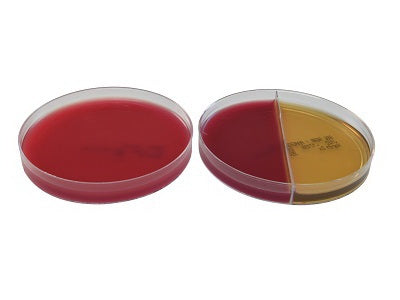 AnaeroGRO - Pre-reduced Culture Media Brucella with Hemin and Vitamin K / Bacteroides Bile Esculin Agar / Phenylethanol Agar Biplate Bi-Plate Format - AG312