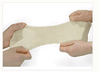 Molnlycke E-Z Derm Porcine Xenograft Dressing Porcine Xenograft 3 X 4 Inch - 131703