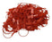 Padlock Control Seals