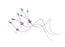Bard CATHETER, POWERPICC SOLO DUAL 10CM NIT 5FR (5/CS) - 3295355