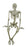 Anatomical Chart Co. - Skeleton Model Durable Plastic - CH10D4