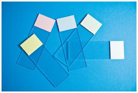 Fisherbrand Selectfrost - Microscope Slide 25 X 75 mm White Frosted End - 12550003