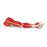 Nasco Walter Products 7 Part Arm Muscle Model Life Size - LA00129