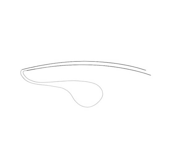 Lacrimal Duct CIS Set