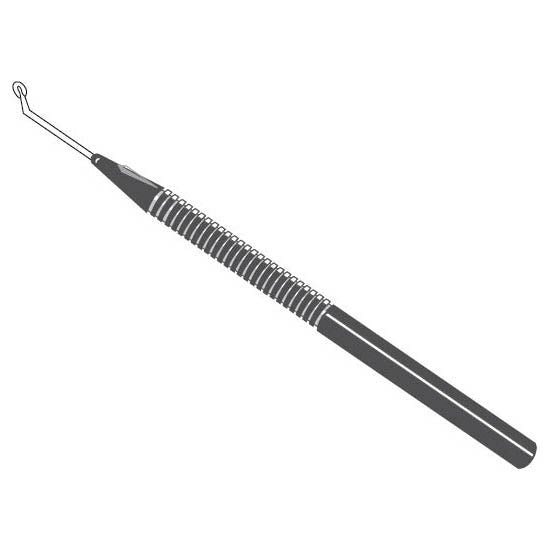 Circular Knife
