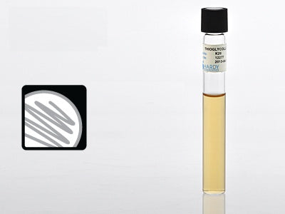 Hardy Diagnostics - Prepared Media Thioglycollate Medium Beige Tube Format - K29