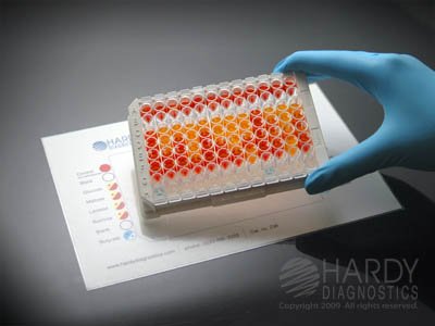 CarboFerm - Rapid Test Kit Microbial Identification Neisseria / Moraxella Catarrhalis Culture Sample 24 Tests - Z98