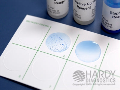 StaphTEX Blue - Rapid Test Kit Latex Agglutination Test Staphylococcus Aureus Primary Culture Sample 1,000 Tests - ST1000