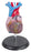 Anatomical Chart Company Life-Size Heart Model Life-Size - CH7
