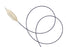 Atlas Gold - PTA Dilatation Catheter 12 mm Diameter X 2 cm Length Balloon 80 cm - ATG80122
