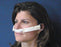 Shippert Medical Technologies Dale Nasal Dressing Holder Sterile - DA-600