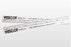 Viscot Industries SKIN RULER NS BLNK (1000/BX) - 1410BL-1000