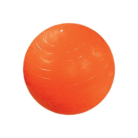 Fabrication Enterprises CanDo Exercise Ball Cando - 30-1852