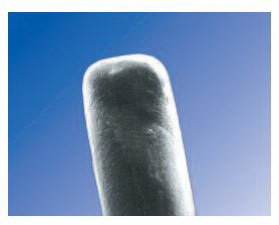SOFT PLUG Collagen - Eye Punctal Plug Collagen Temporary Occlusion Duration 2 mm Length 0.4 mm Diameter - 6504