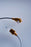 ConchaTherm - Humidifier Temperature Probe - HUD39599