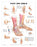 Anatomical Chart Company Anatomical Chart Foot and Ankle 20 X 26 Inch Heavy Paper Grommets Laminated - 9781587791383