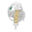 Homepump Eclipse* - Elastomeric Pump Gravity Disposable 100 mL Capacity 100 mL Volume 50 mL / Hr. Flow Rate Without Display - E100500