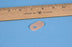 Dr. Jill's Foot Pads Inc Dr. Jill's Corn Pad 0.06 Inch Adhesive Foot - J-4 FELT 1/16