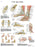 Fabrication Enterprises Anatomical Chart Foot and Ankle 20 X 26 Inch Laminated - 12-4608L