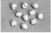 Gardlok - Surgical Cherry Dissector Sponge X-Ray Detectable Cotton / Gauze 1/2 Inch Diameter 10 Count Tray Sterile - 200231
