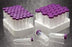 VWR International VWR Centrifuge Tube Conical Bottom Plain 50 mL Purple Cap Closure Polypropylene Tube - 89004-364