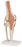 Fabrication Enterprises Functional Knee Joint Model 3 lbs. - 953984