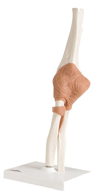 Fabrication Enterprises - Functional Elbow Joint Model 13 lbs. - 12-4512