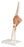 Fabrication Enterprises - Functional Elbow Joint Model 13 lbs. - 12-4512