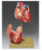 Anatomical Chart Company 2 Part Heart Model SOMSO-Plast - HS3