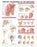 Anatomical Chart Company - Anatomical Chart Anatomy and Injuries of the Shoulder 20 X 26 Inch Heavy Paper Wall Mount Laminated - 1587798077