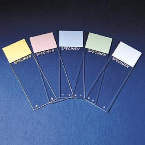 Microscope Slide