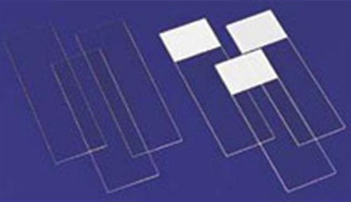 Microscope Slide