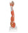 Anatomical Chart Company - Left Arm Muscles Model Life Size - M10
