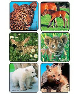 Medibadge Kids Love Stickers 90 Per Unit Baby Animal Photos , Assorted Sticker - 2001