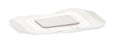 DermaRite Industries DermaView II Island Transparent Film Dressing with Pad Rectangle 2-3/4 X 4 Inch Frame Style Delivery With Label Sterile - 16240