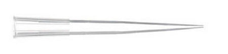 Fisherbrand SureOne Micropoint - Pipette Tip 5 to 300 µL Without Graduations Sterile - 02-707-410