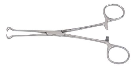 Vantage - Tissue Forceps Babcock 6-1/4 Inch Length Floor Grade Stainless Steel NonSterile Ratchet Lock Finger Ring Handle Curved 8 mm Wide Fenestrated Triangular Jaws - V916-44