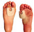 Dr. Jill's J-17 - Callus Pad 1/8 Inch Adhesive Foot - J-17 FELT 1/8